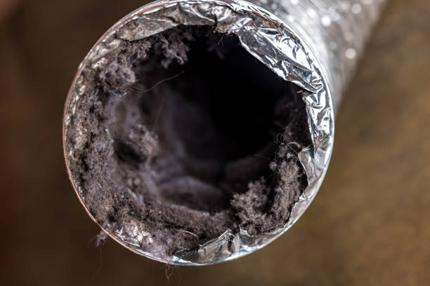 Best Dryer Vent Cleaning in North Scituate, MA